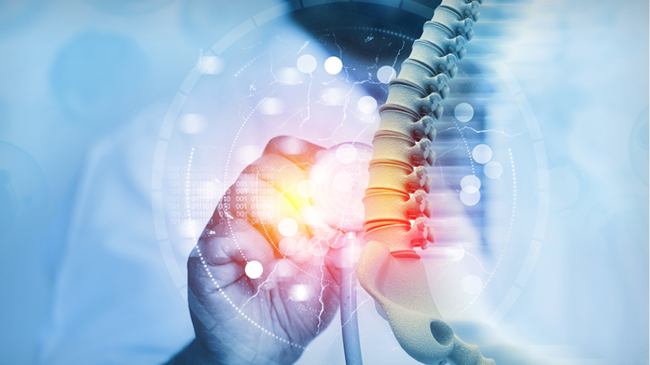 Doctor examining a model spine with digital graphics overlay.